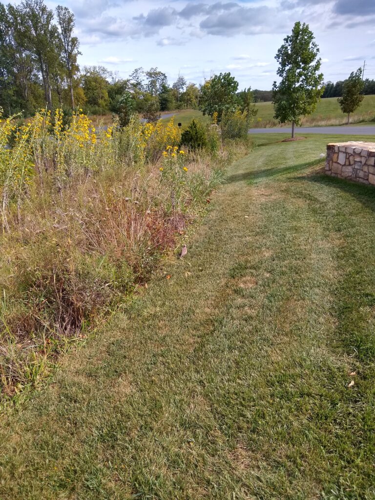 SoilKeepers, designing grasslands for estates, homes, and businesses. Grasslands include short manicured lawns, waist high swards, and tall meadows with  interconnecting paths. SoilKeepers is preparing plans for turning expanses of mowed turf into living grasslands. That’s “Soil Keepers dot US” for details on all of SoilKeeper’s services.